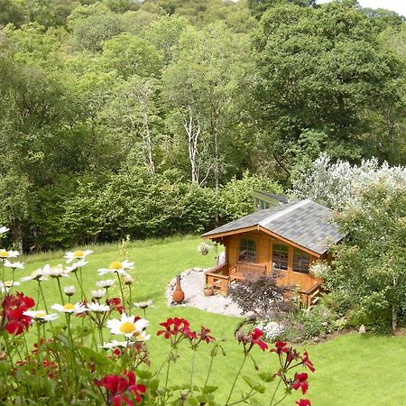Tanglewood Lodge Taynuilt Exteriör bild
